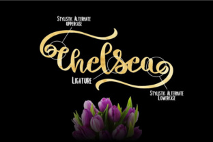 Chelsea: A Hand-Lettered Script Font for Creatives