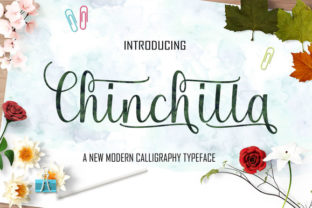 Chinchilla: Smooth Luxury in Every Letter
