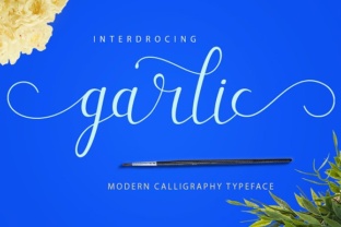 Garlic: A Hand-Drawn Script Font with Character