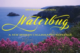 Waterbug: A Handwritten Font with Elegant Swashes